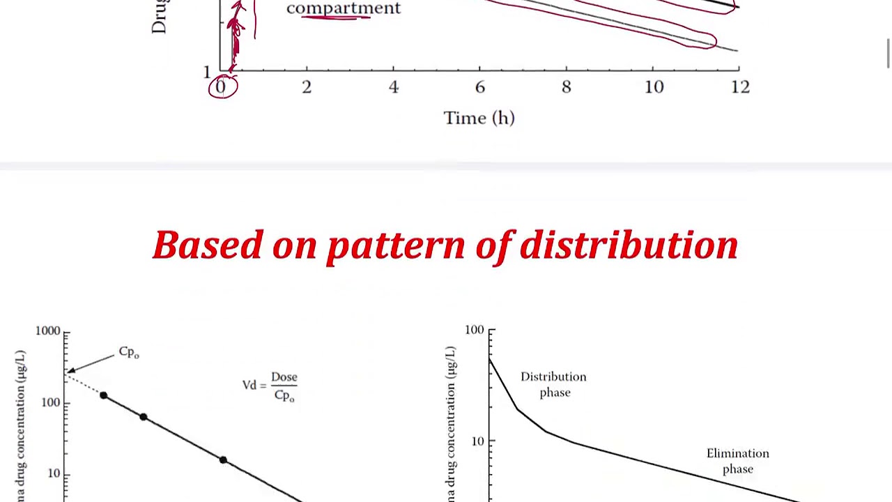Two compartment Pharmacokinetic Model