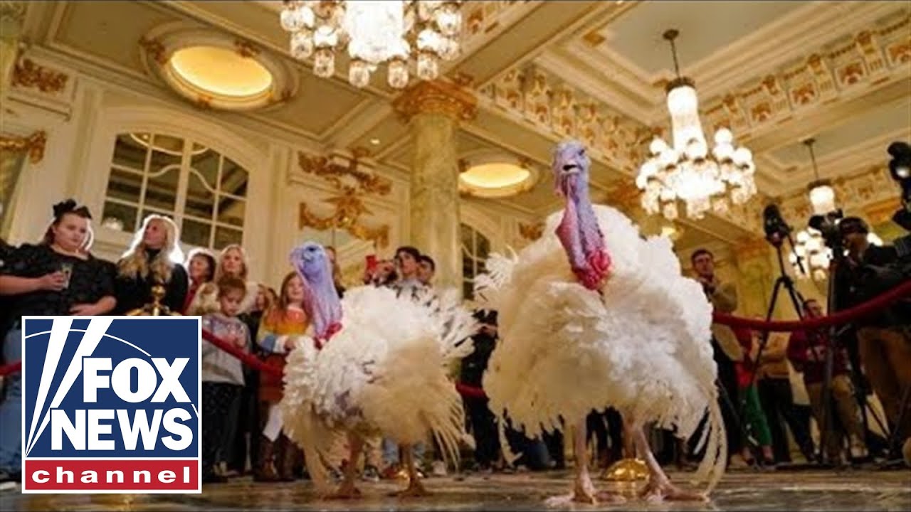 Biden pardons turkeys in White House's annual Thanksgiving tradition