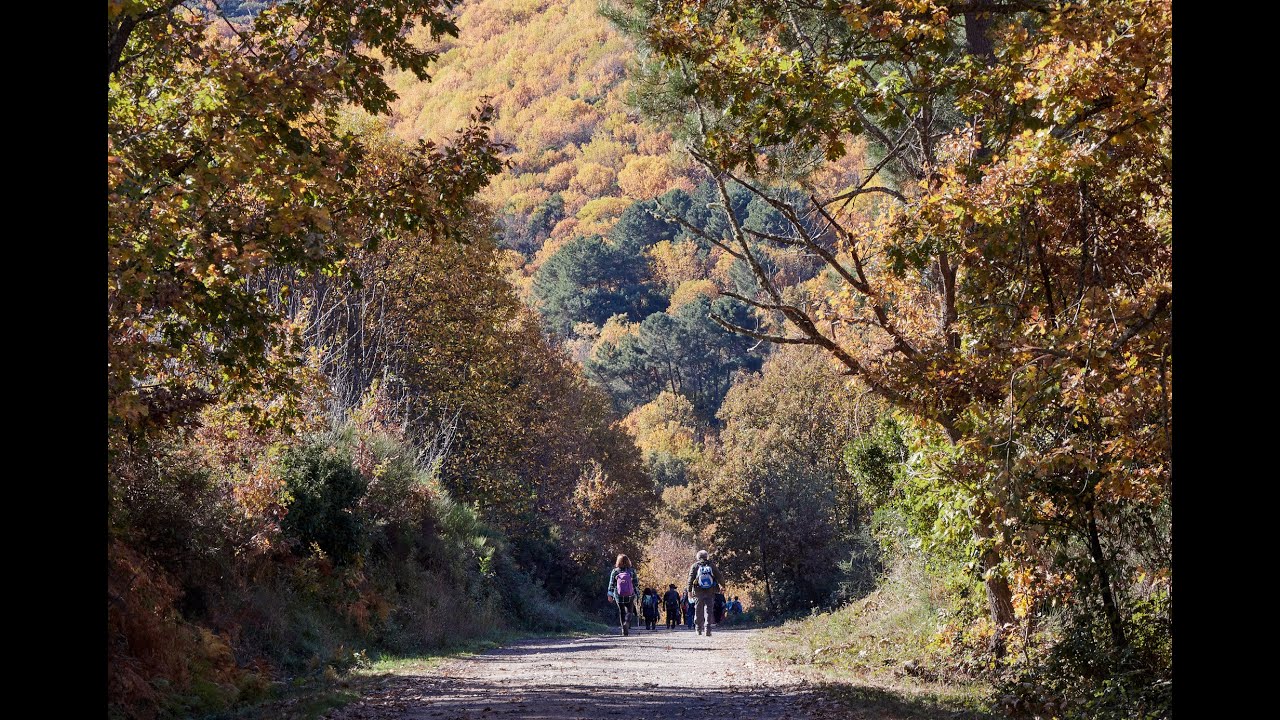 Cepeda, Monforte de la Sierra y Madroñal. SIERRA DE FRANCIA. Salamanca