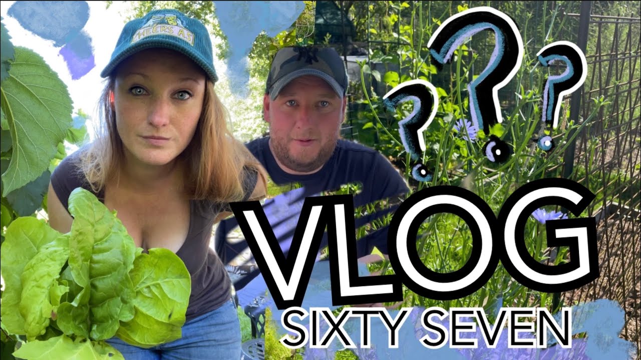The ESSEX Edition: Things did NOT go to plan… || Plot 37 (Episode 67)