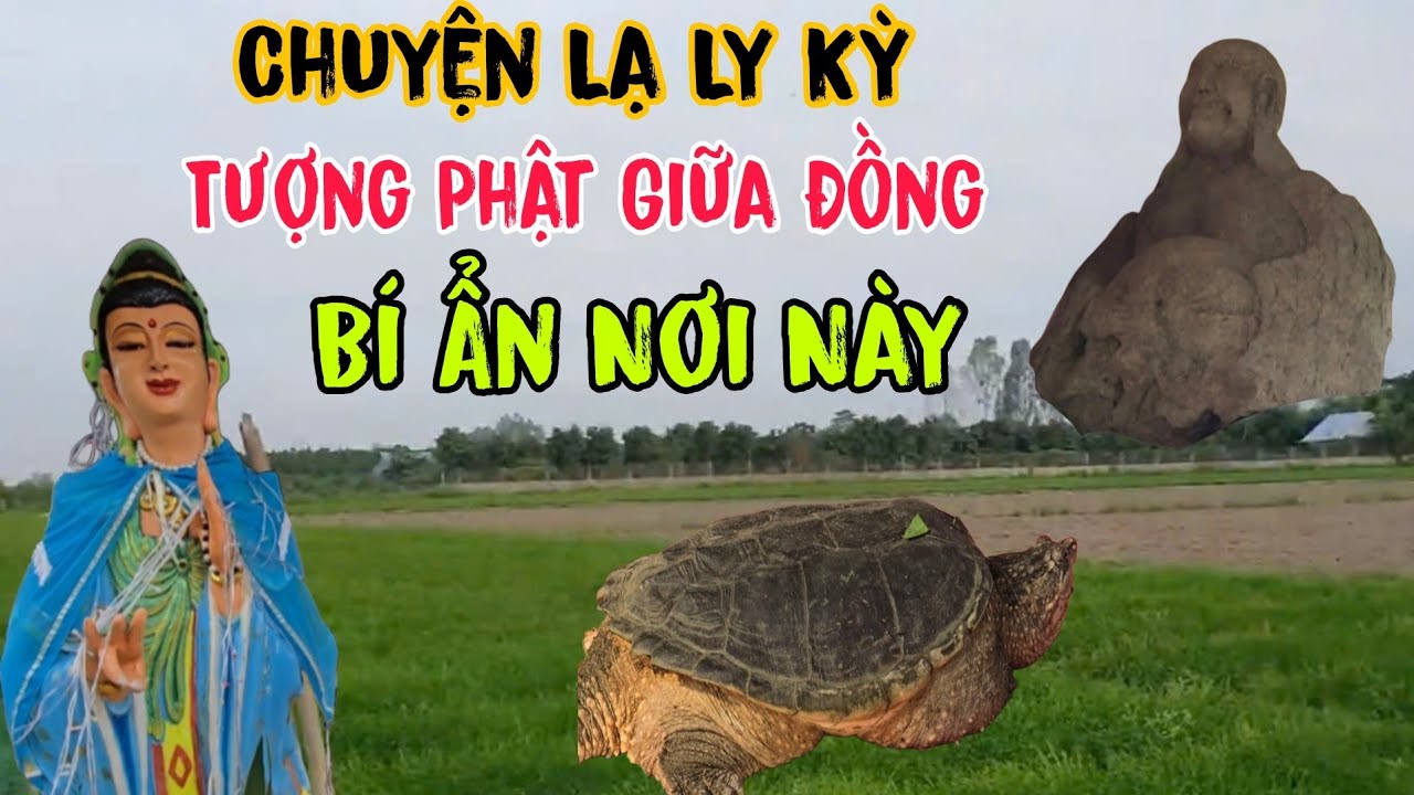 Chuyện Lạ Ly Kỳ 👉Tượng Phật Giữa Đồng Bí Ẩn Nơi Này| Châu Phú Hảo Hòa