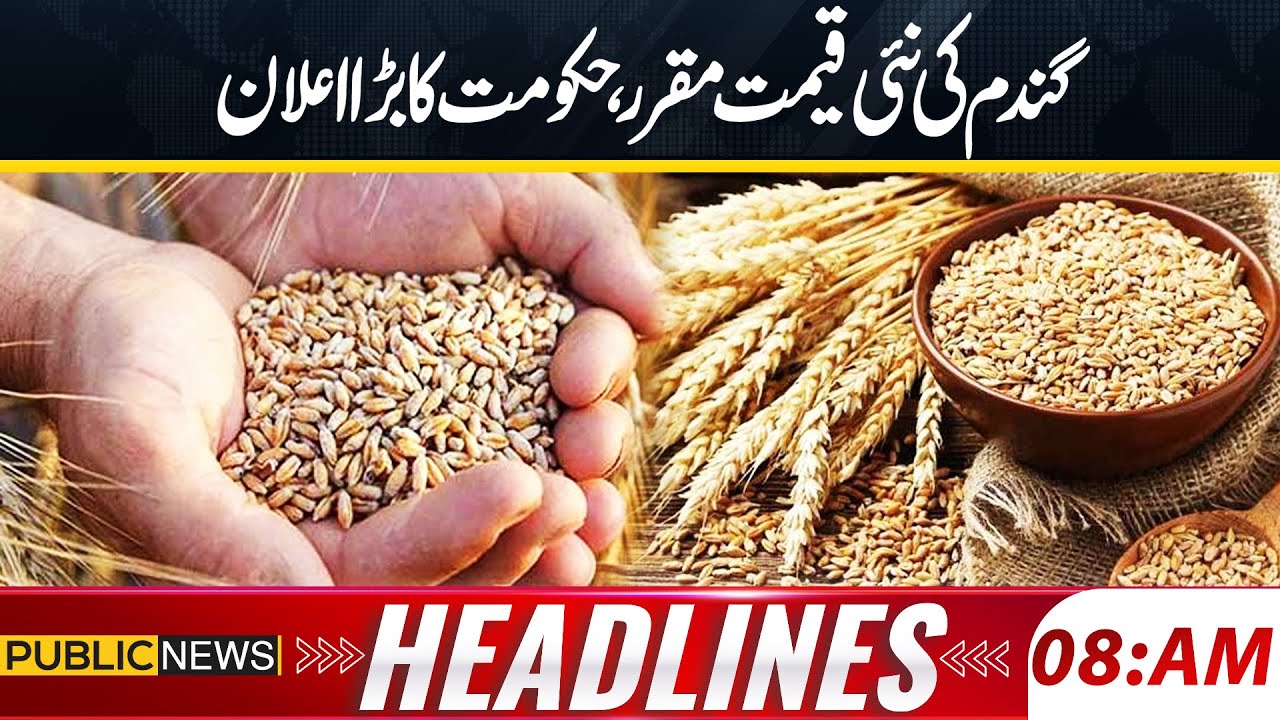 New Wheat Price Announced | Government Makes Major Decision | Big Relief or Shock? 08am Hedalines