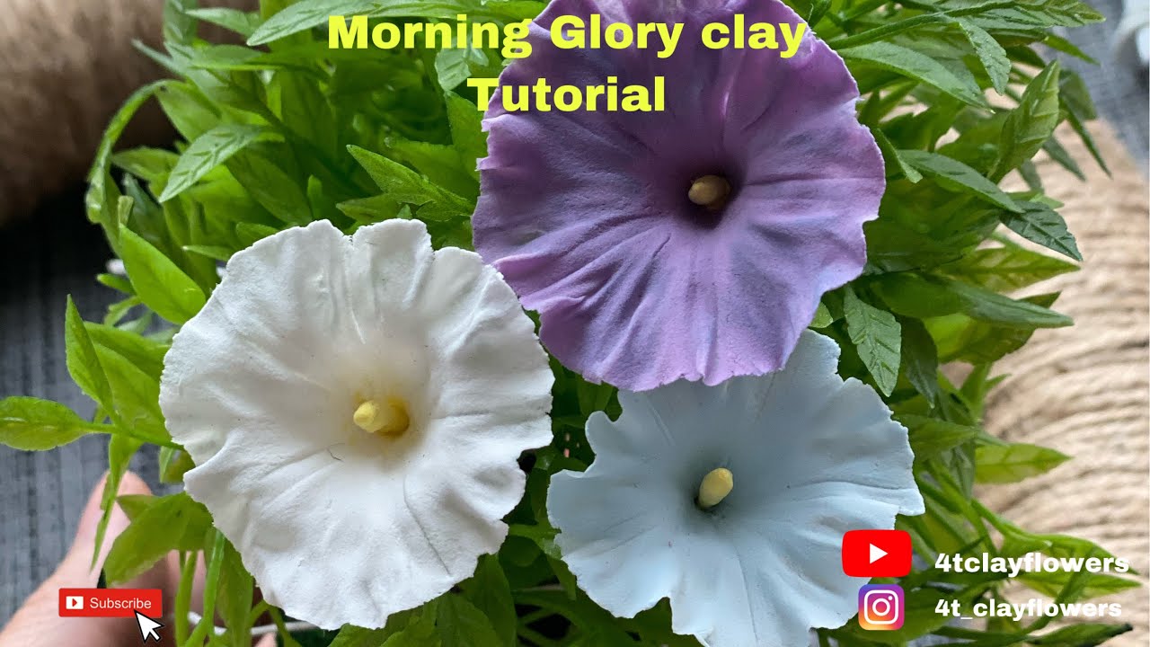 How to make a Morning Glory by clay [Long video]/ clay flowers tutorial / Hướng dẫn làm hoa Bìm Bìm