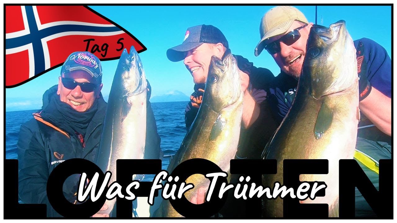 Trümmeralarm auf den LOFOTEN | So haben wir die fetten Fische doch noch ans Band bekommen