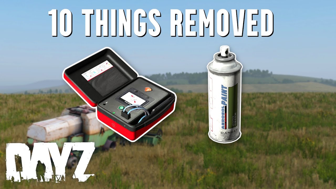 10 Things Removed From DayZ
