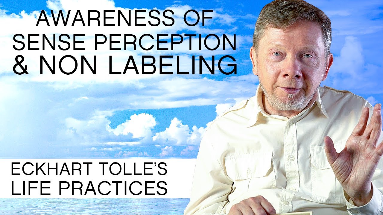 Eckhart Tolle's Life Practices | Non Labeling & Life in Small Moments