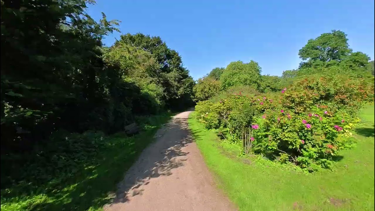 Cycling In Valbyparken Copenhagen | Summer 2023 | Copenhagen Denmark | Valby Park | 8 September