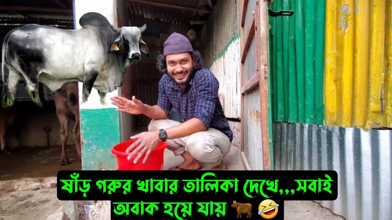 ষাঁড় গরুর খাবার তালিকা দেখে,,,সবাই অবাক হয়ে যায় 🐂 🤣
