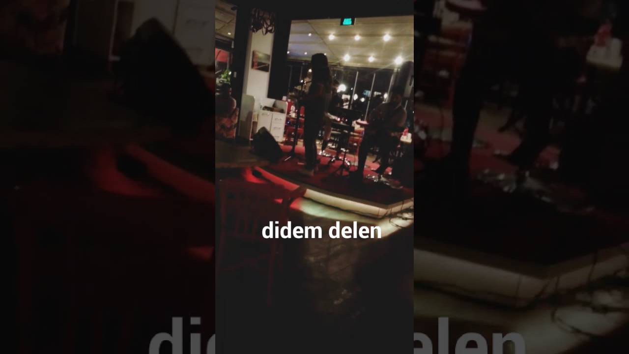didem delen