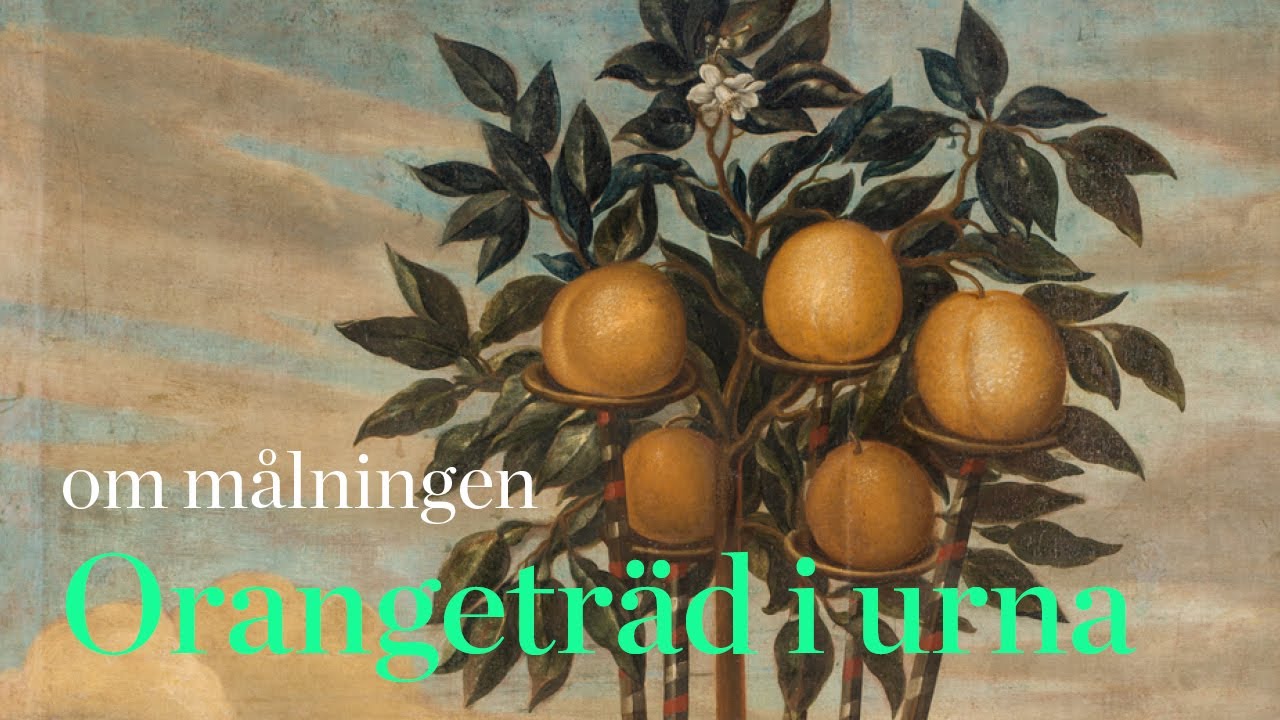 Orangeträd i urna av David von Cöln