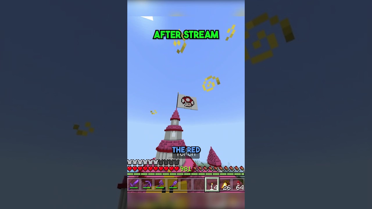 Princess Peach's Castle FLAG