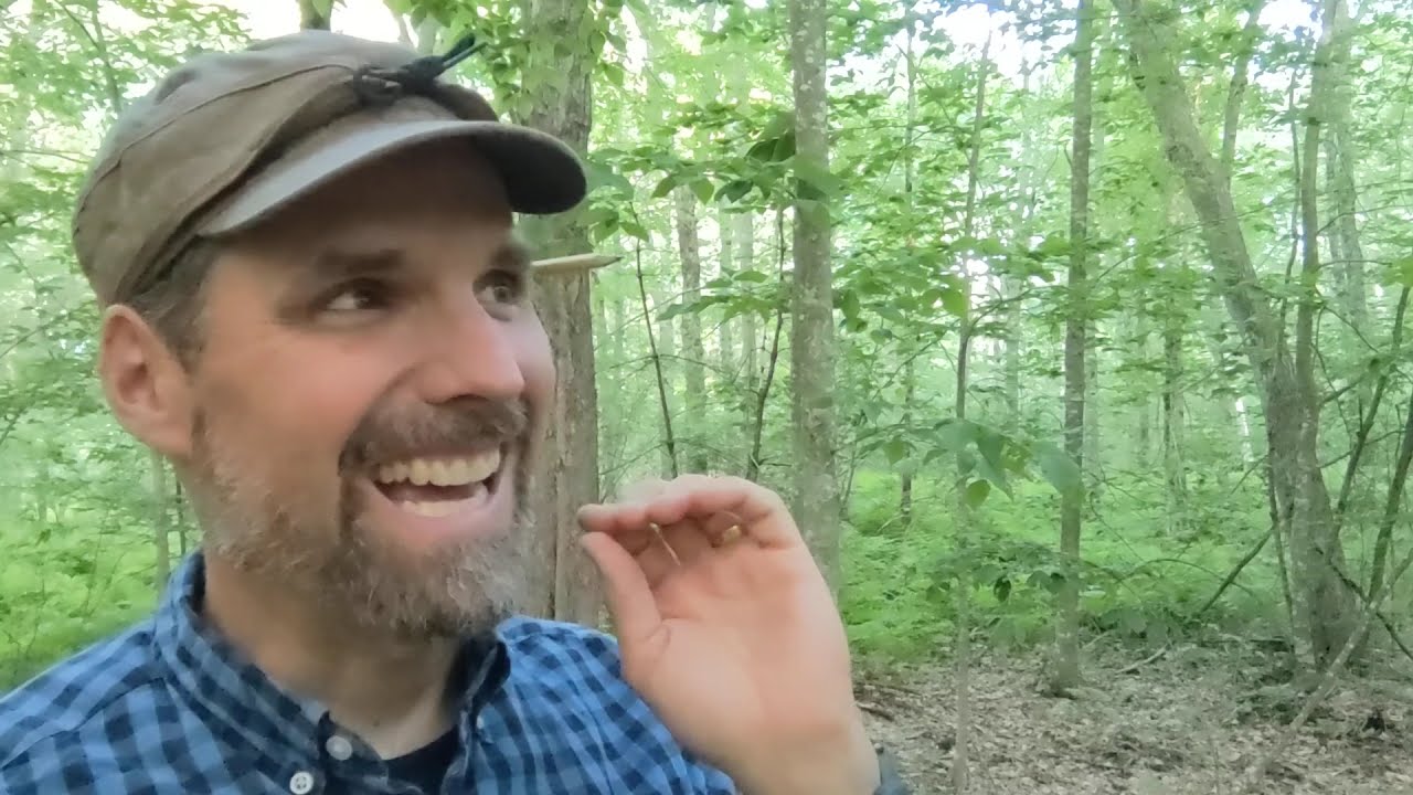 Veery - Learn A Bird - Episode #31