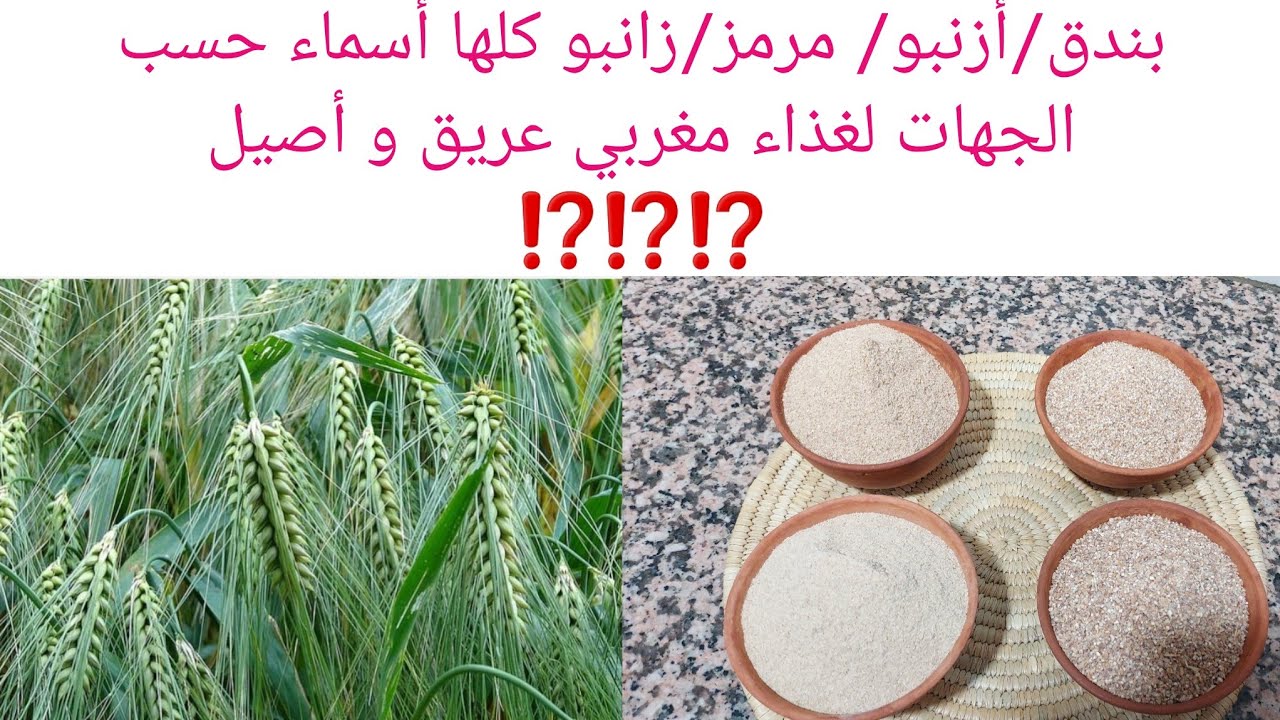 بندق(الشعير  الأخضر ) موروث  غذائي  عريق💥💯👍 طريقة تحضيره و فوائده الصحية