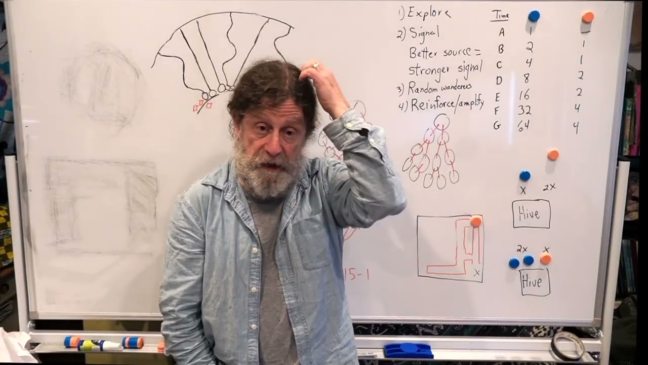 18. Human Behavioral Biology: Emergence 2 by Robert Sapolsky