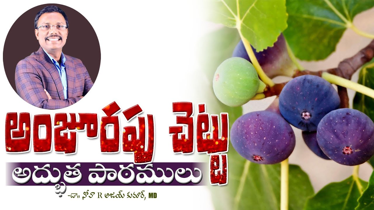 అంజూరపు చెట్టు అద్భుత పాఠములు - SUNDAY EVENING SERVICE - Dr. Noah