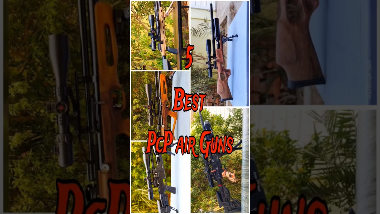 5 Best PcP Air Guns 