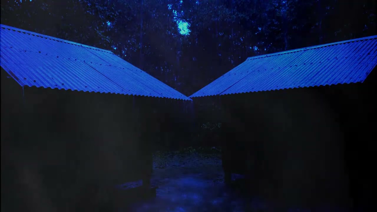 No Ads Rain Sounds for Sleeping - Cozy Bedroom Ambience for Insomnia