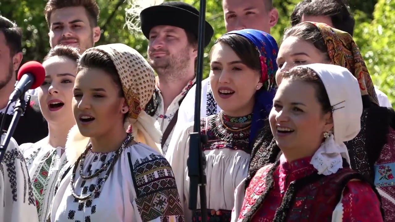 Ansamblul ICOANE – Cum mai plâng ochii miresii; Lelese, ȚINUTUL PĂDURENILOR, HUNEDOARA