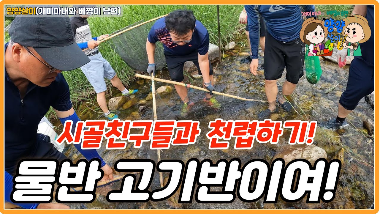 시골 친구들과 민물고기 천렵하기! 물반 고기반이여!
