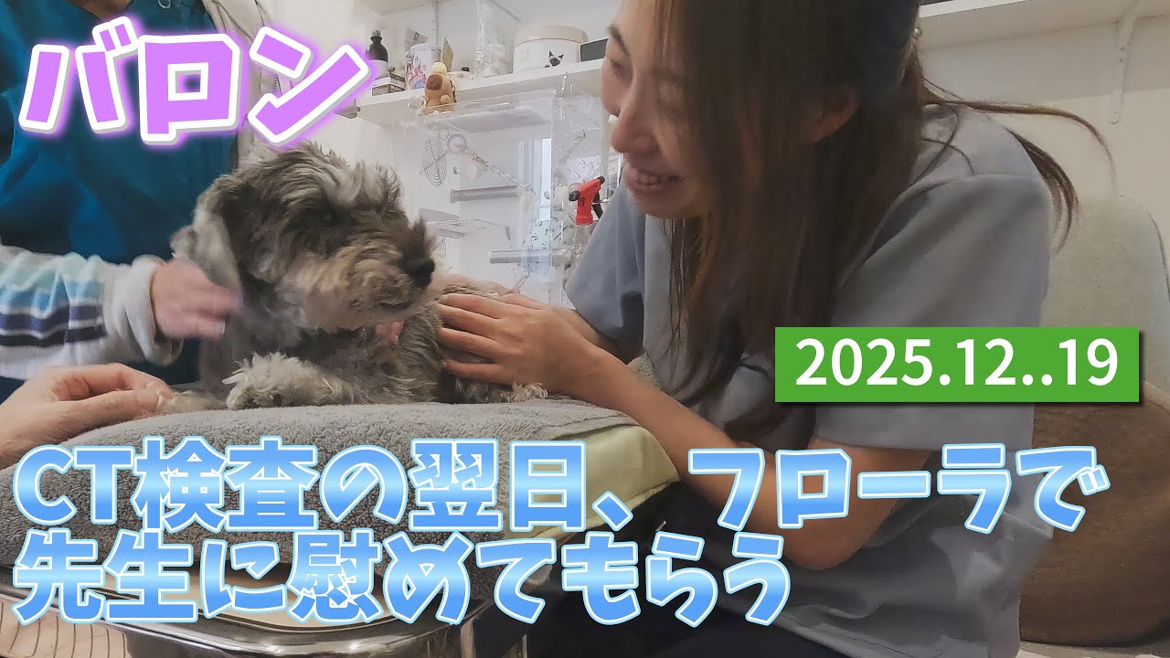 門脈シャントのCT検査の翌日、フローラで先生に慰めてもらいました