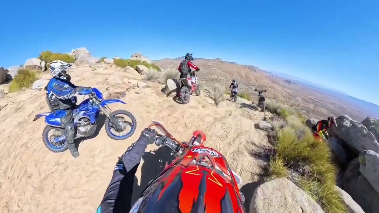 Dare you to join the fun riding