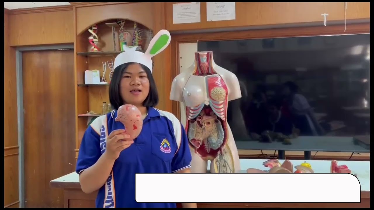 ￼ the human body สื่อการสอนวิชาวิทยาศาสตร์ ระดับชั้นประถมศึกษาปีที่ 3 ￼ จัดทำโดยห้องเรียนครุศาสตร์ 