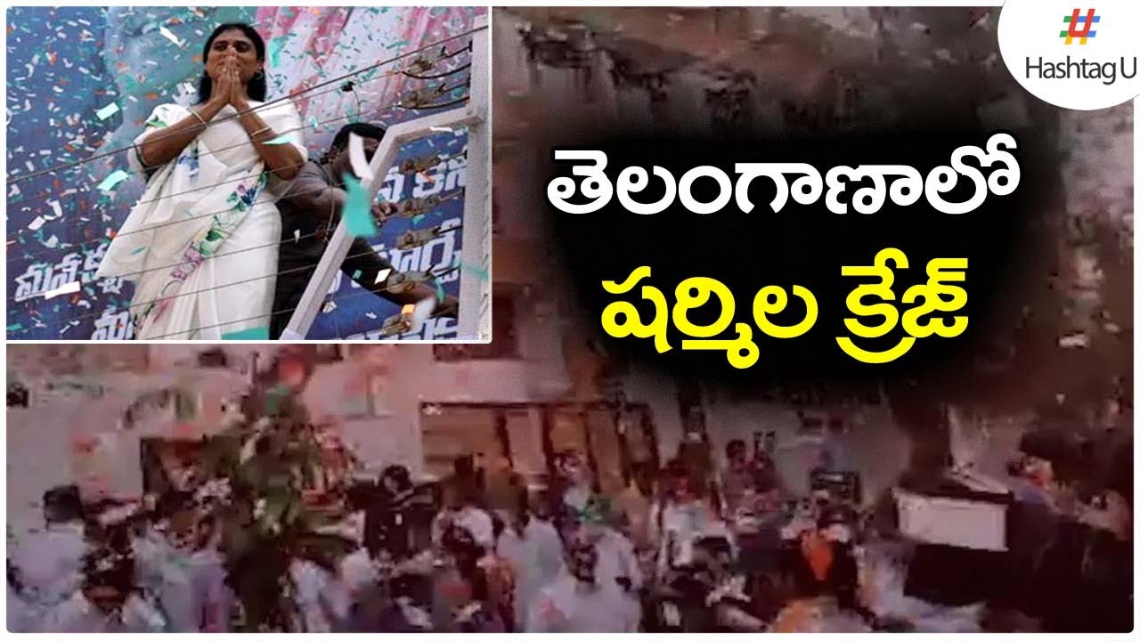 YSR Fans Josh 🔥 | YS Sharmila Craze in Telangana | YS Sharmila New Party | YSRTP | HashtagU