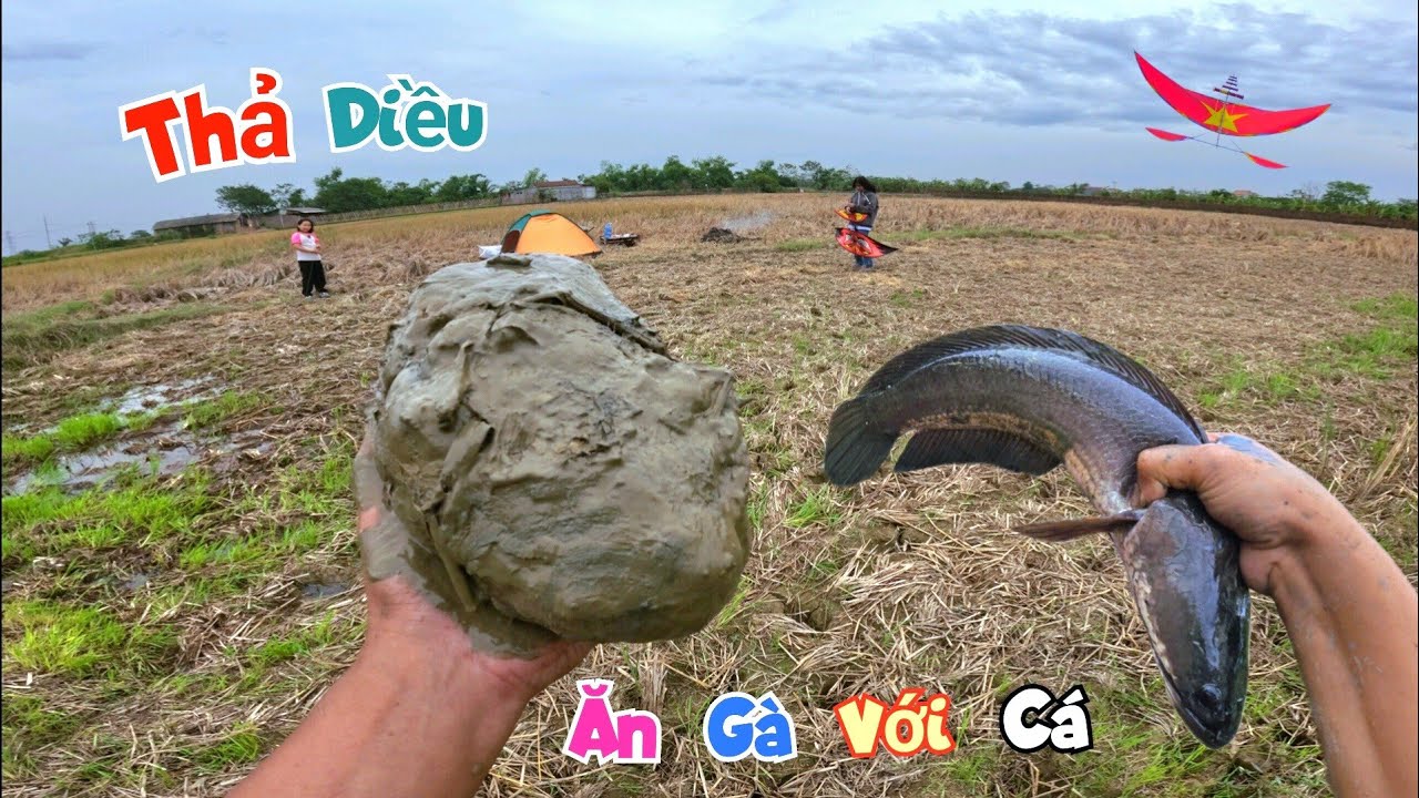 Đem Hết Cá To Ra Đồng - Cả Nhà Cắm Trại Ăn Cá Thả Diều / Quế Nghịch