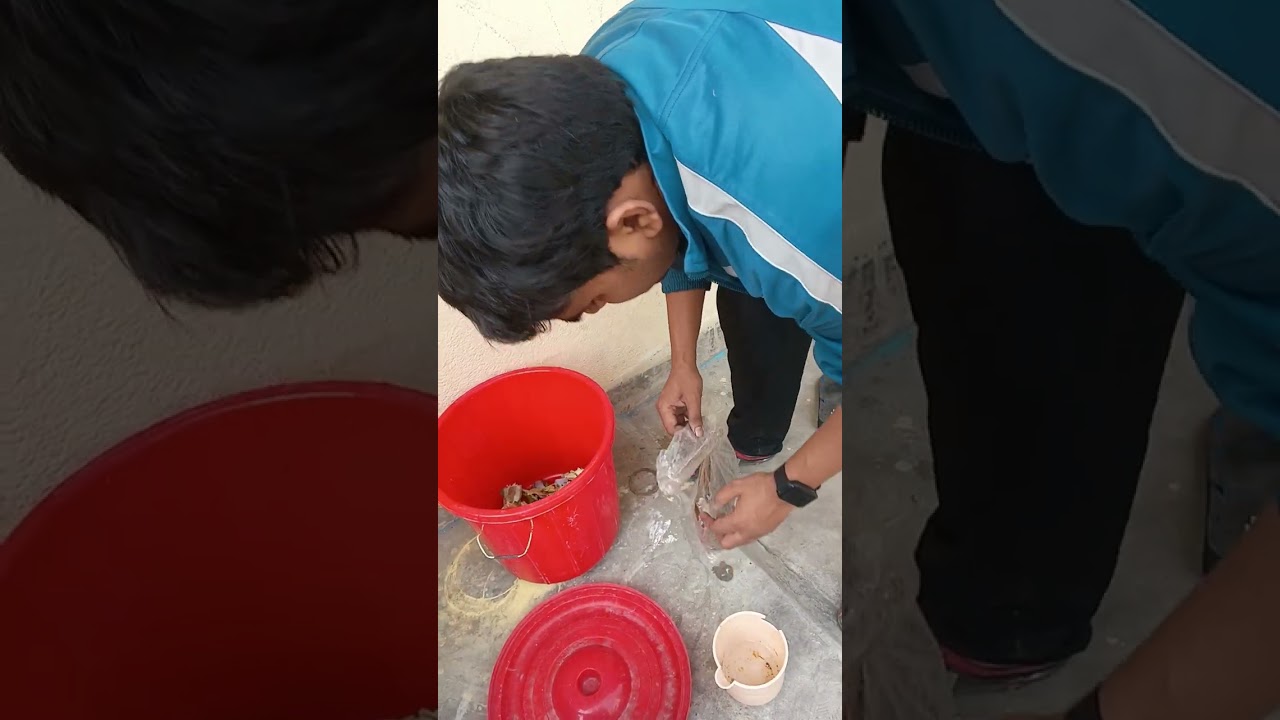 🌿 Kitchen Waste থেকে Black Gold! 😱 কীভাবে বানাবেন Microbial Compost? | Eco Couple