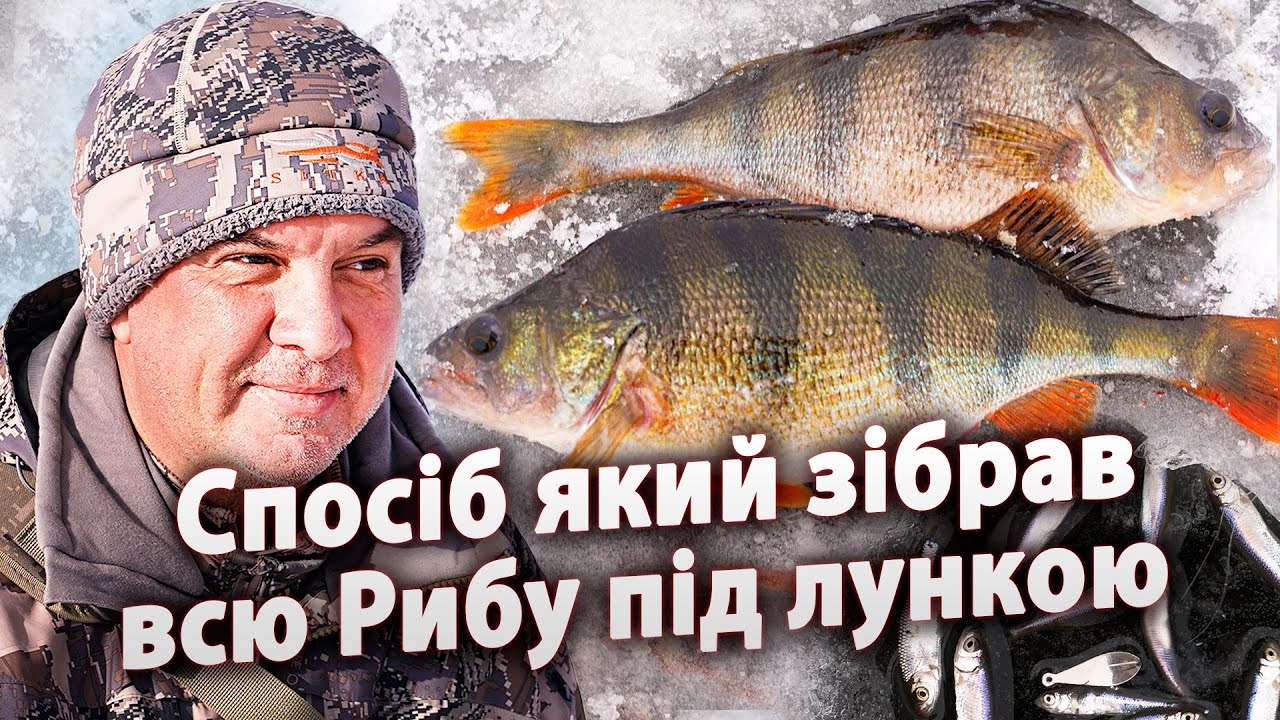 ЛОВЛЯ ОКУНЯ УНІКАЛЬНИМ СПОСОБОМ