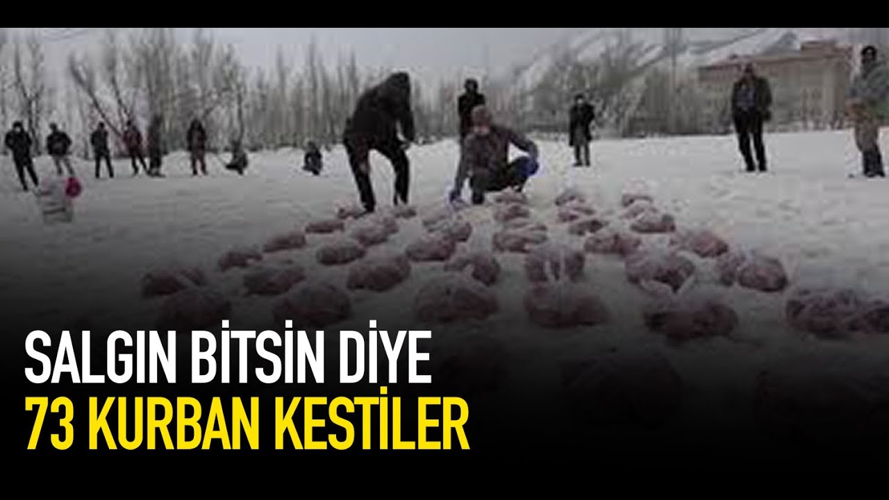 Yüksekova Adaklı köyü sakinleri salgının bitmesi için 73 kurban kesti