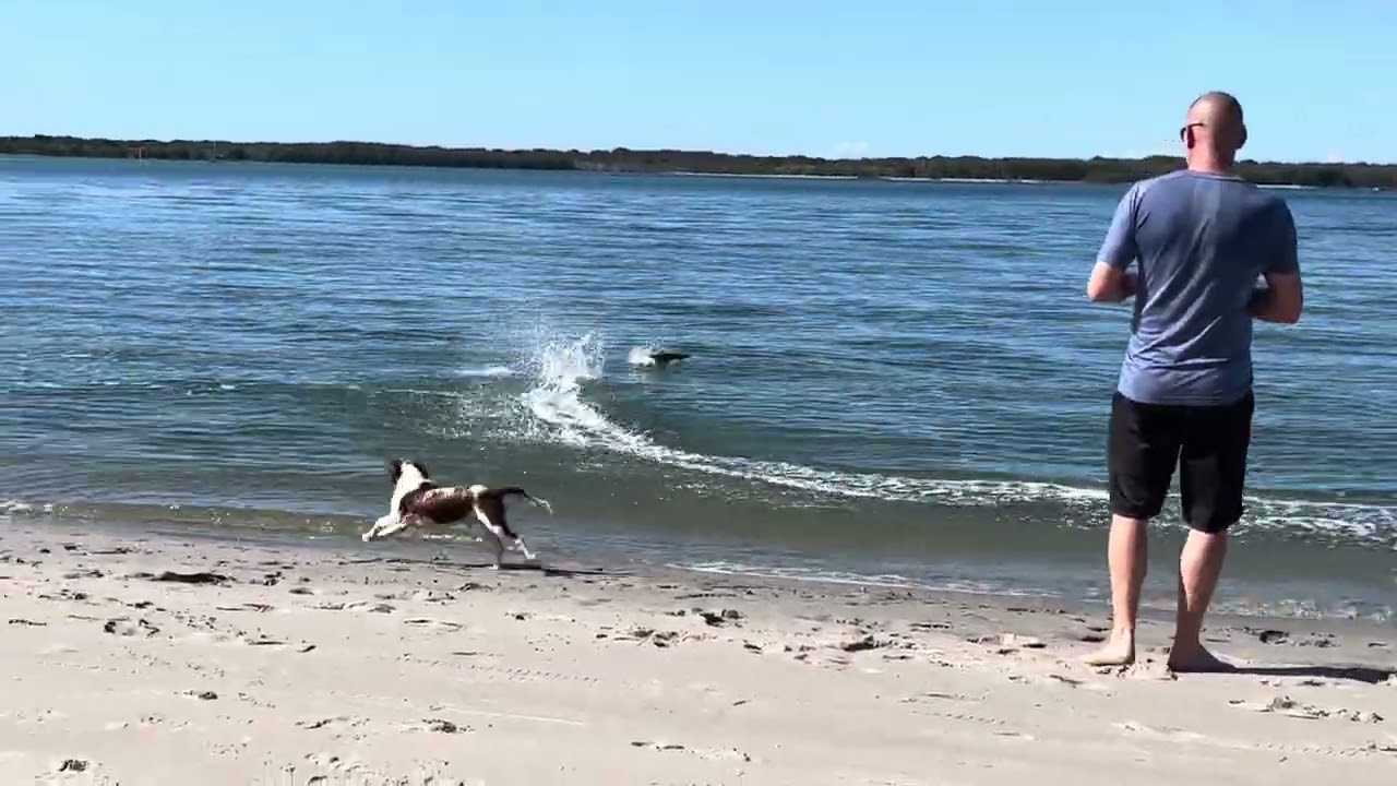 Chase that boat 