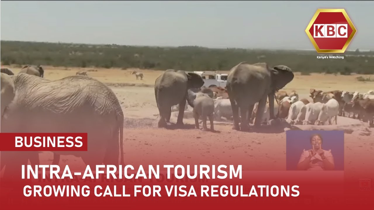 Intra-Africa Trade I Growing call for visa regulations and policies harmonization