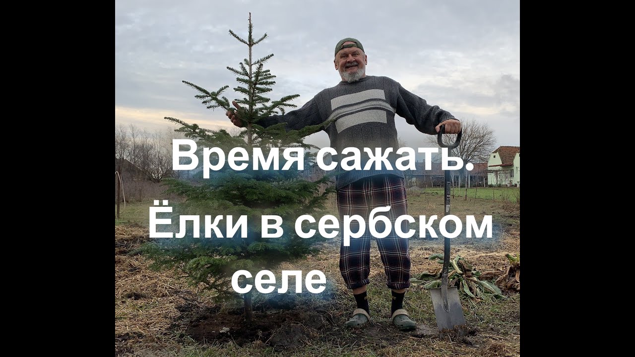 Время сажать в сербском селе. Январь.
