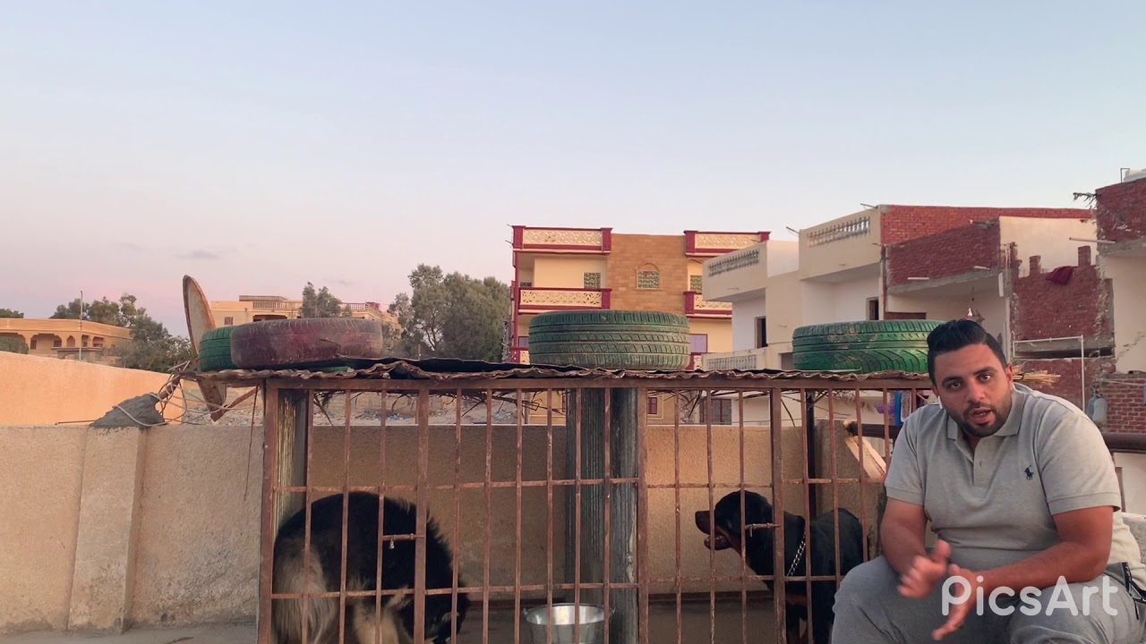 مزرعه كلاب بمرسي مطروح شريف الديب