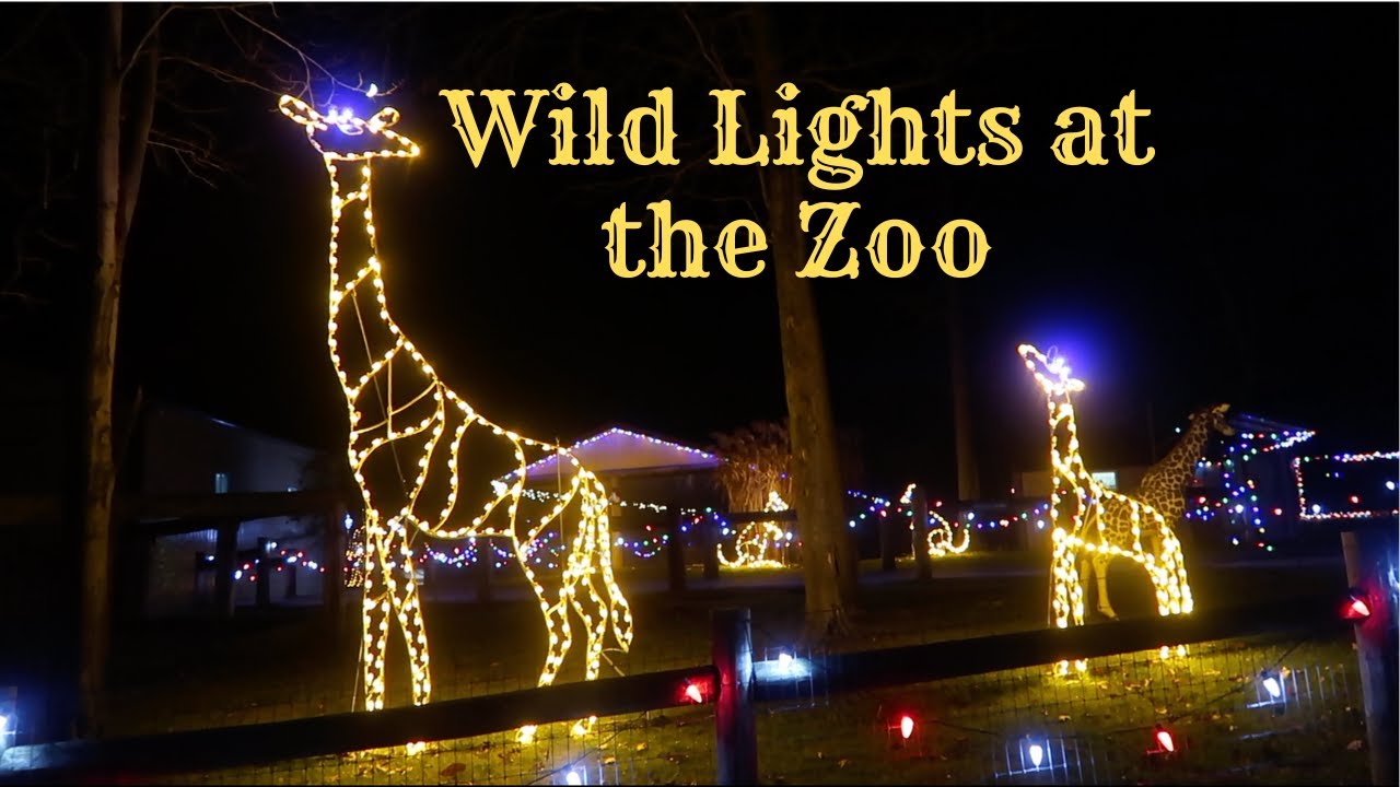 Hovatters Wild Lights at the Zoo