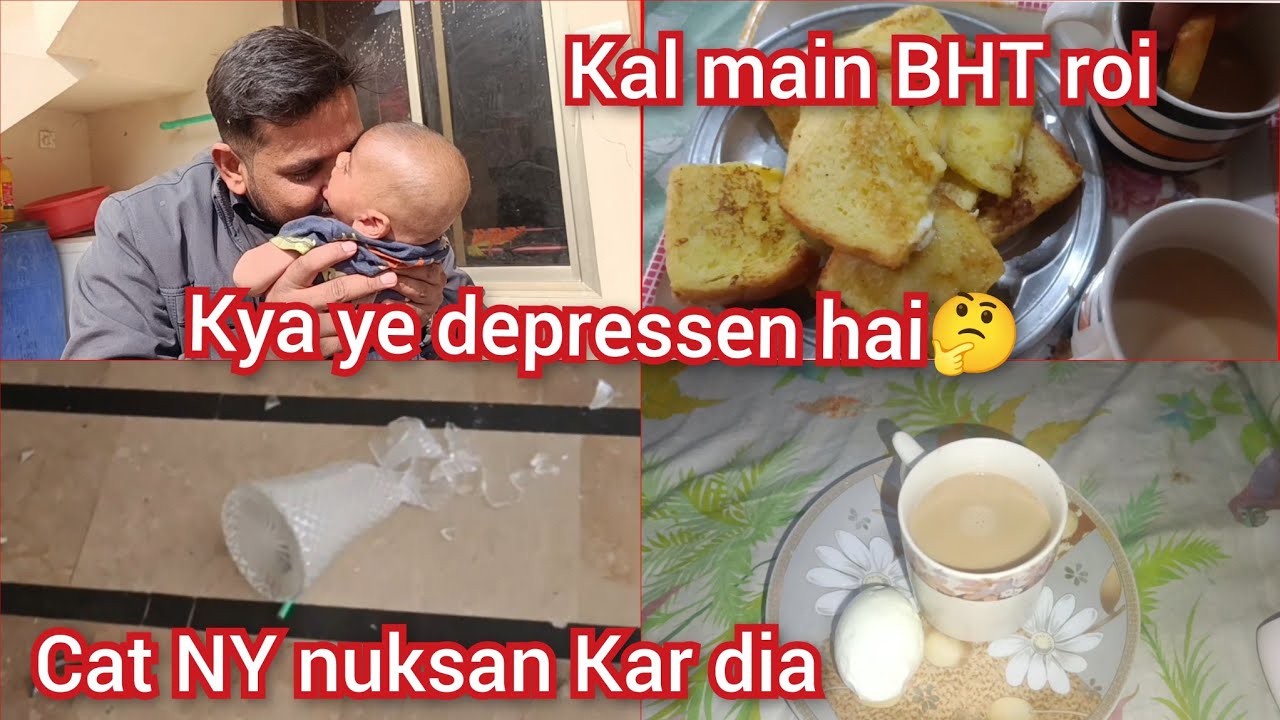 Kal main BHT roi kya ye depressen hai cat NY nuksan Kar dia 