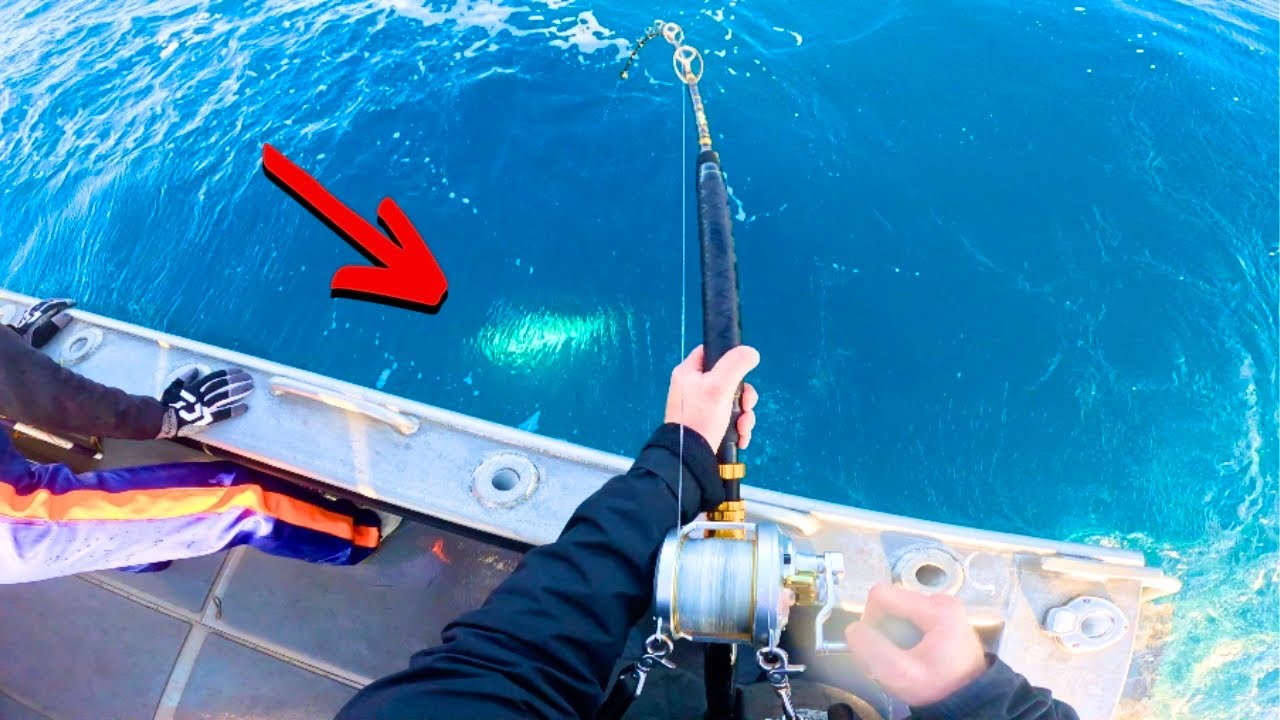 A DREAM FISH COME TRUE !  (Catch & Release GIANTS) !!!