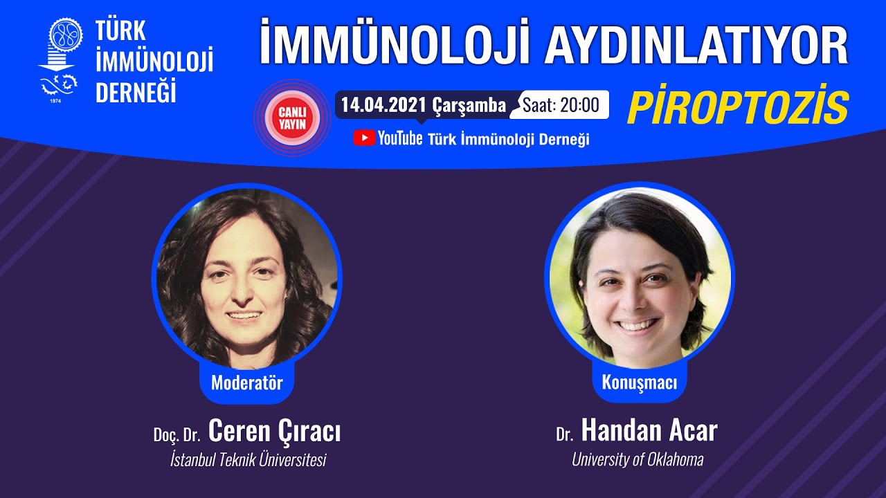 Piroptozis - Dr. Handan Acar