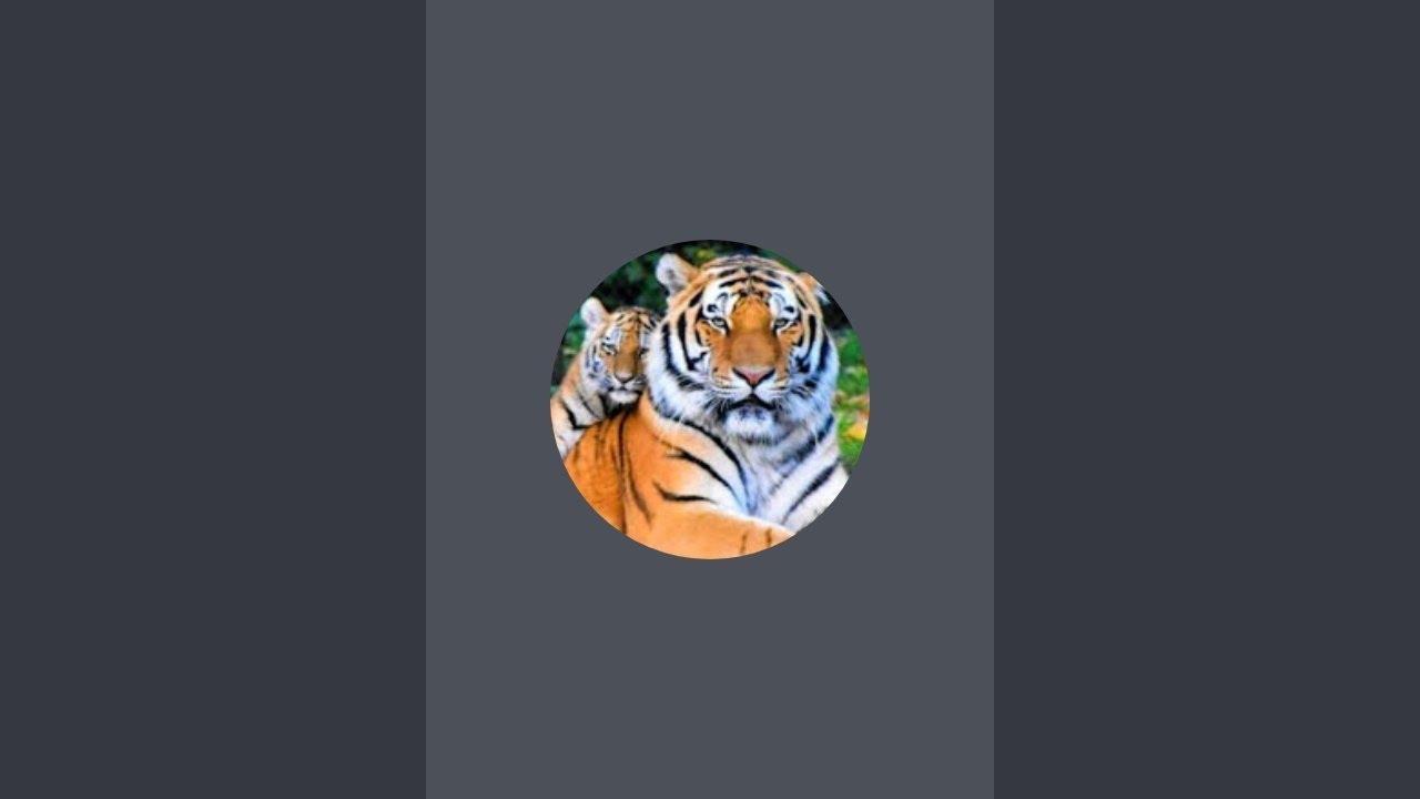 Royal 120 is live!