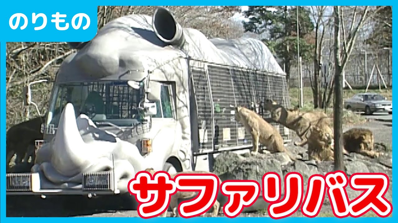 【のりもの】サファリバス・ジャングルバス・どうぶつバス【動物園】