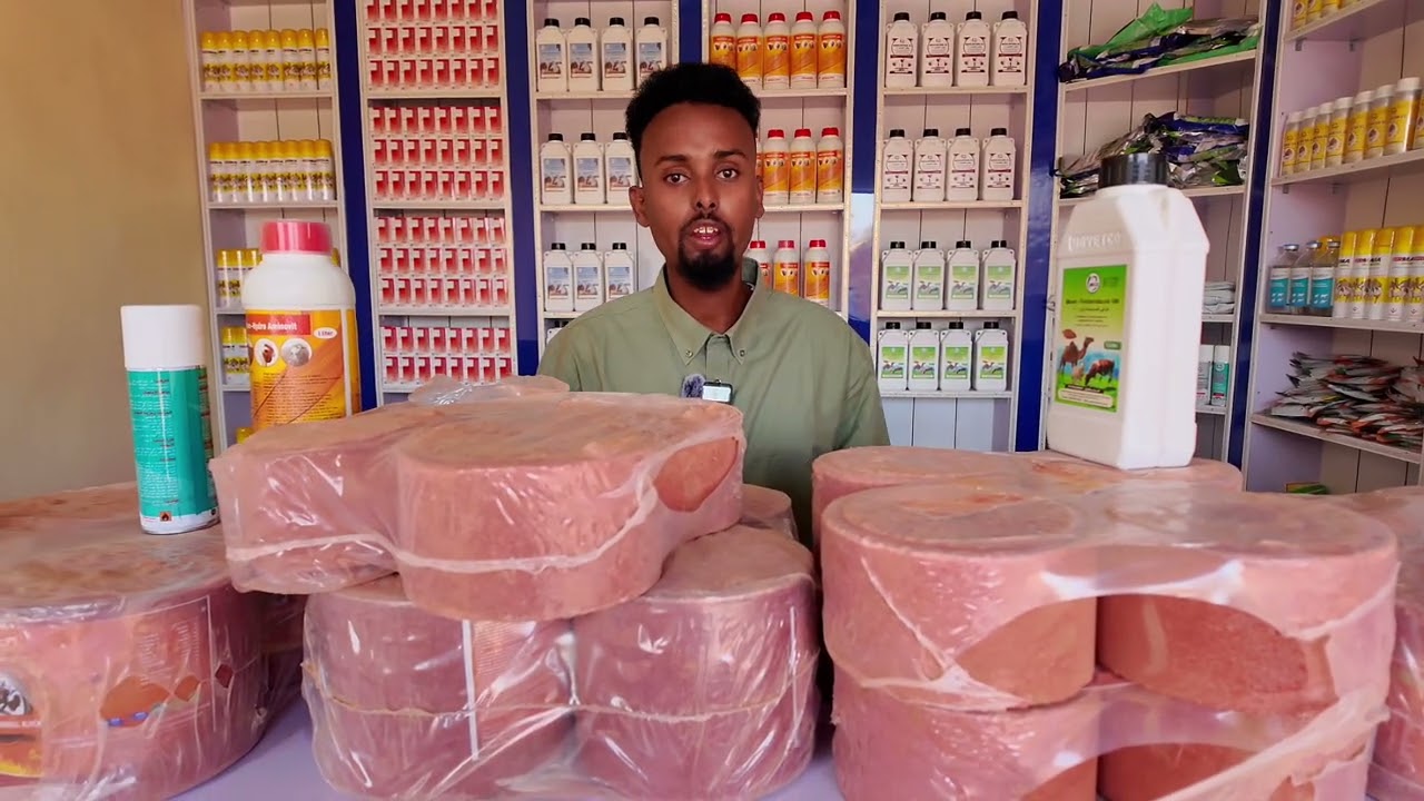 Kuwaan ayaa loo isticmaala xoolaha 
