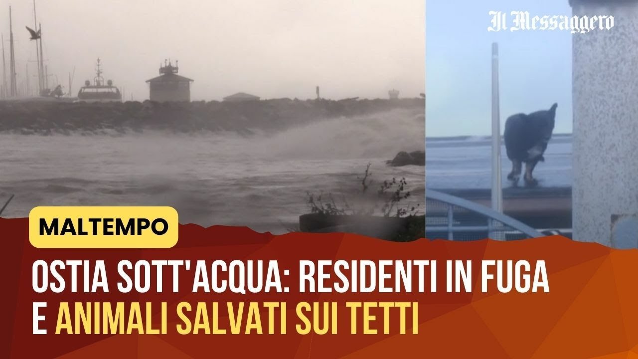 Maltempo, Ostia sott'acqua: residenti in fuga e animali salvati sui tetti