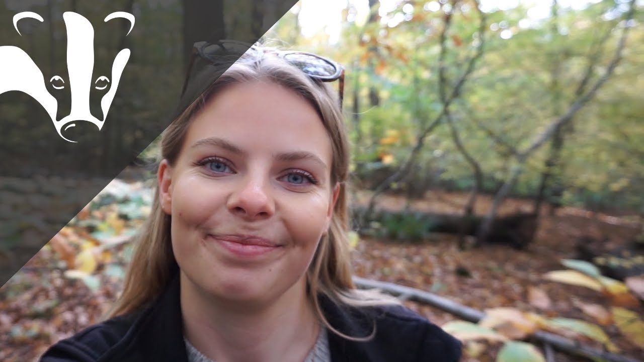 Where do moths and butterflies go during winter?