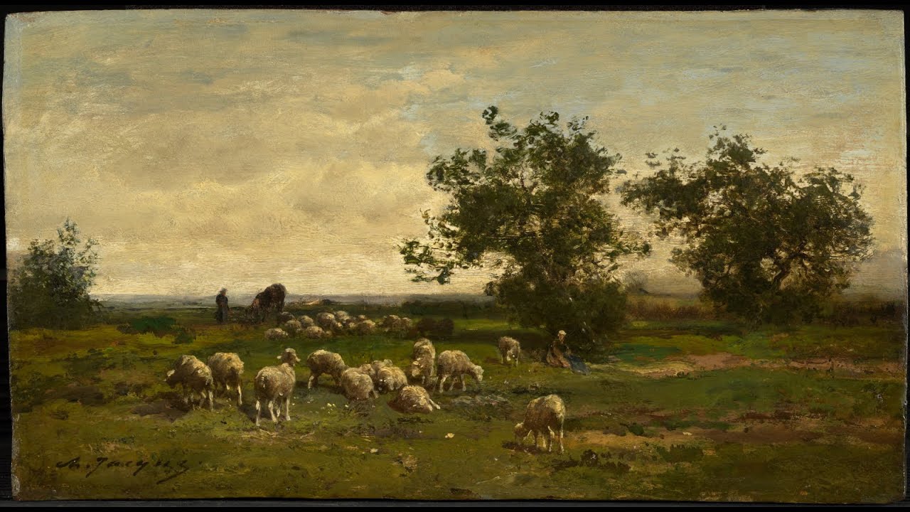 Schafe können sicher weiden - J.S. Bach