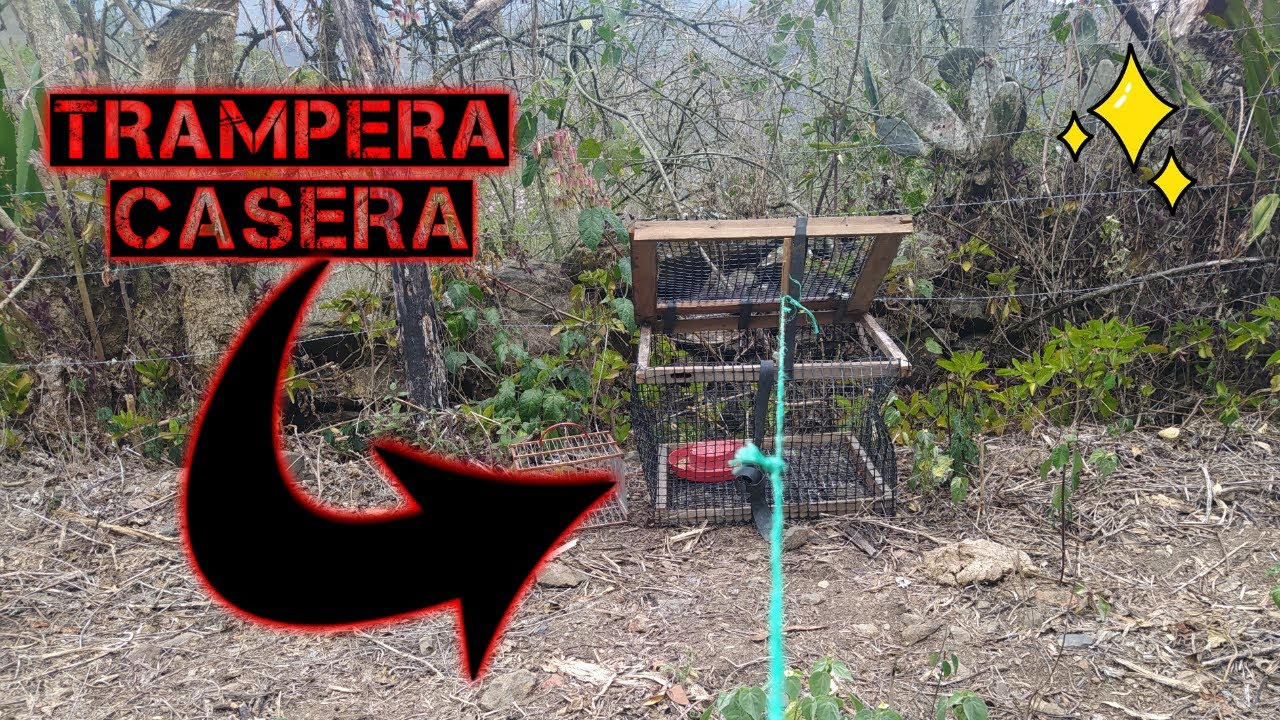 de casería con mi tampera casera.!!!!! (Fabián)...