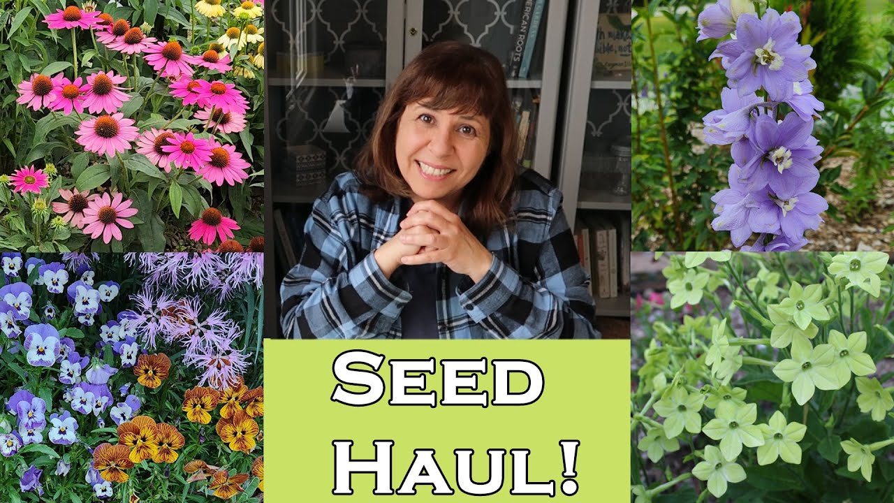 My One & Only Seed Haul this Year