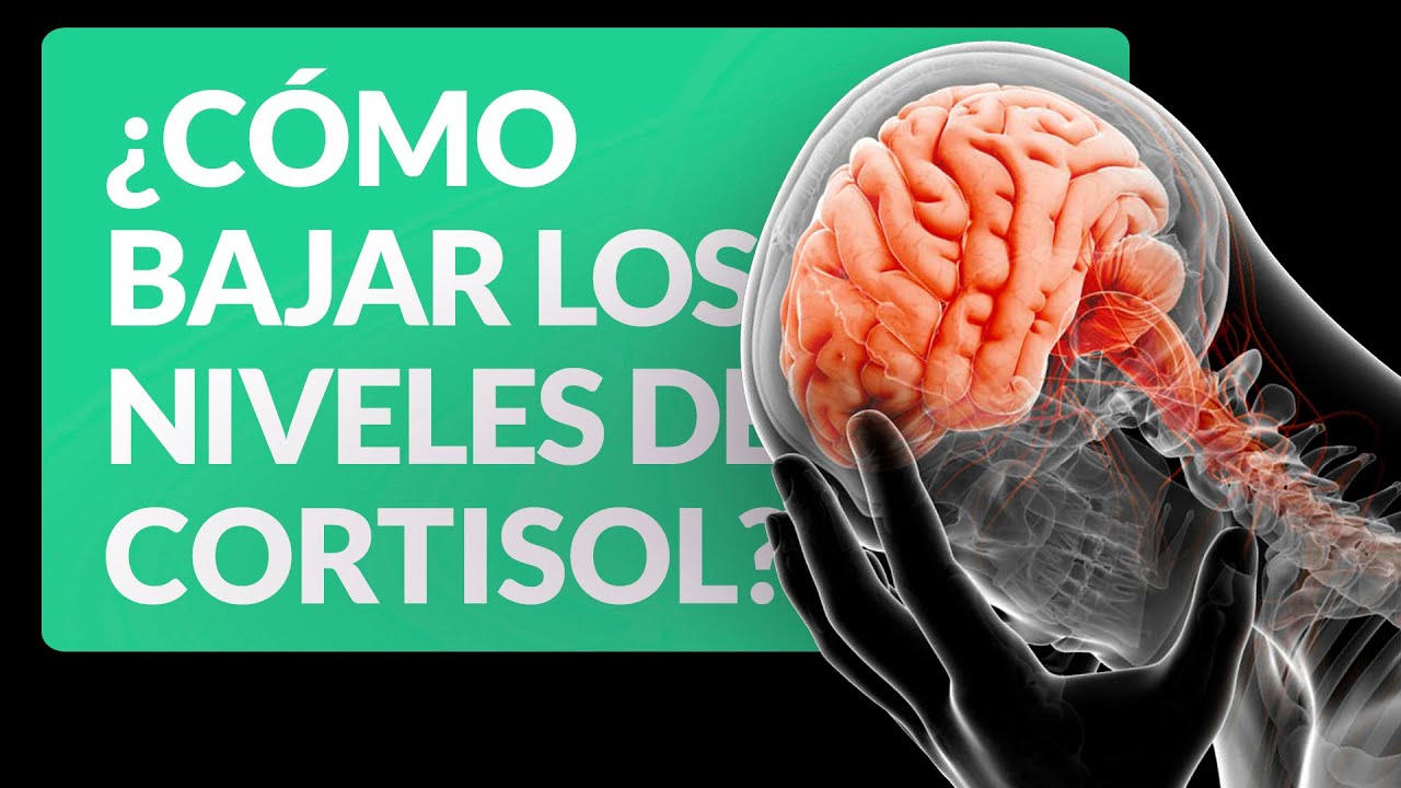 Cómo bajar los niveles de cortisol para la ansiedad