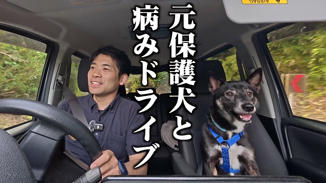 いろいろ疲れたので陰キャ同士でドライブに行きます