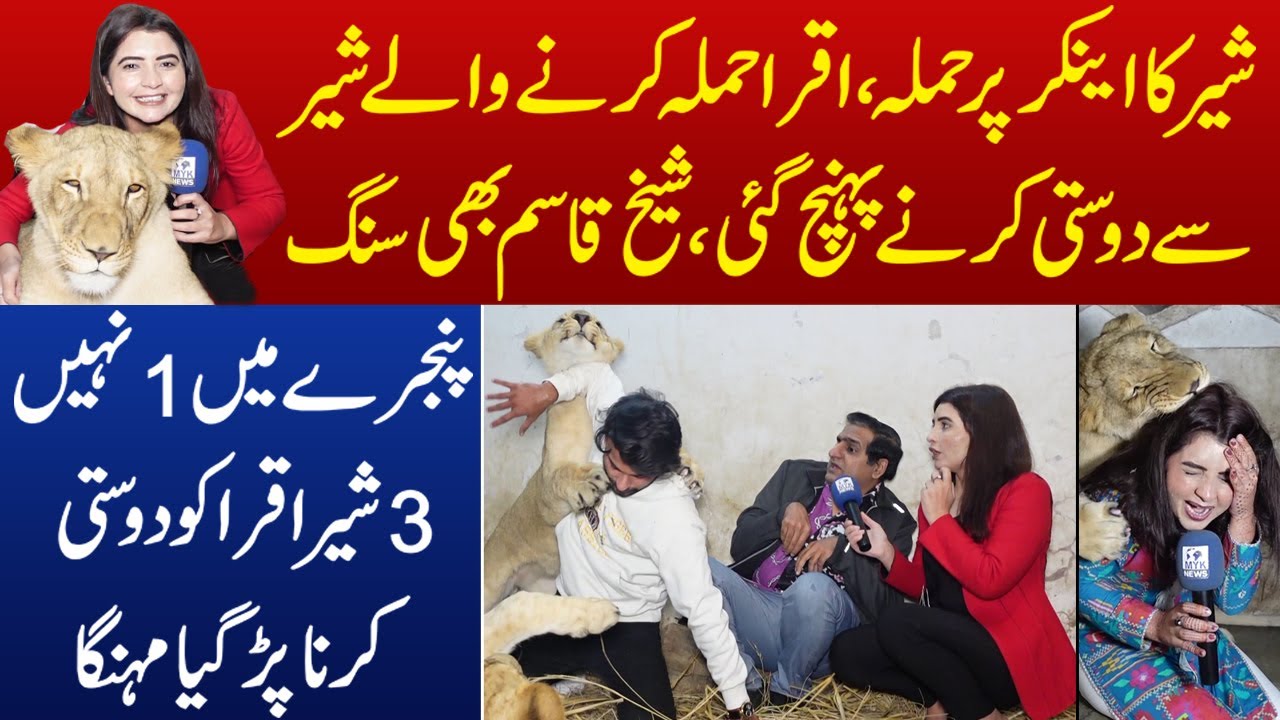 Iqra Abid Aik Bar Phir Shair Kay Moun Mein | Hamla Karne Wale Shair Se Dosti Karne Pohanch Gaye